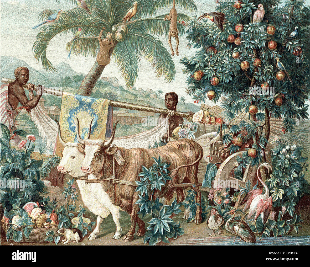 Gobelin tapestry Wealth of the Indies. 17th century Stock Photo Alamy