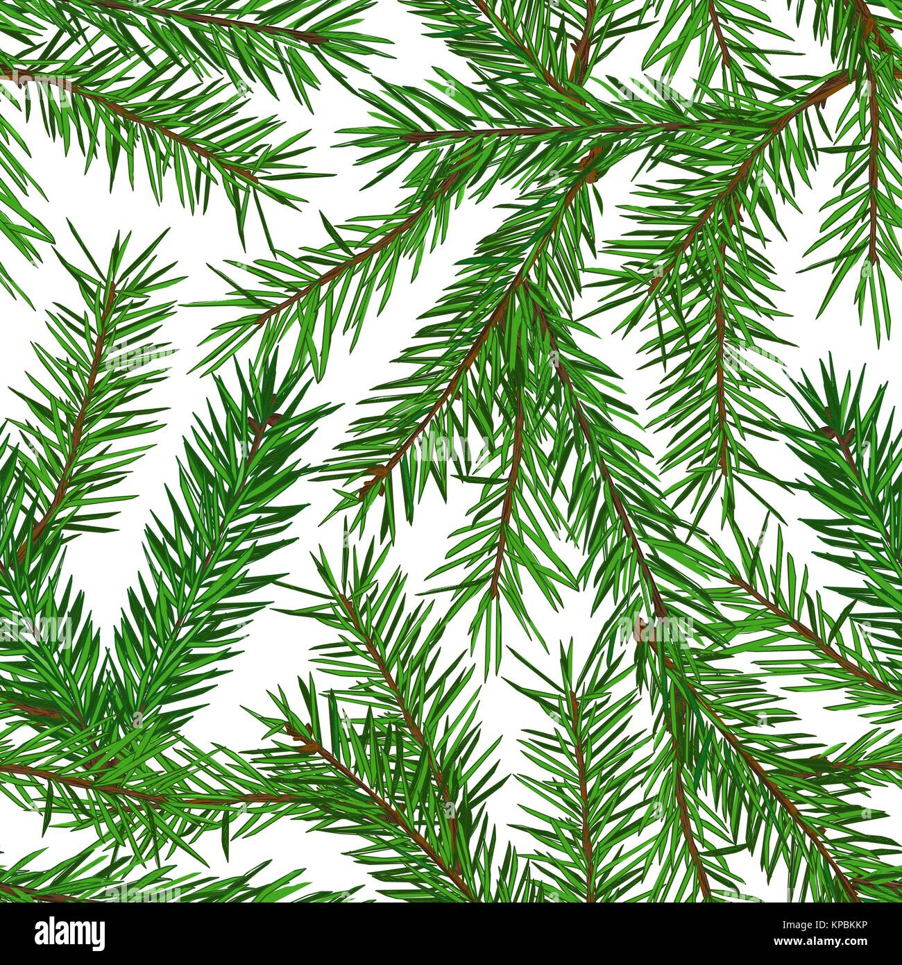 Realistic green fir tree branches seamless pattern on white background ...