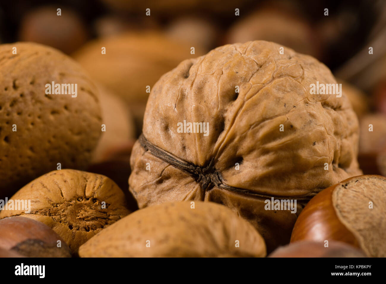 walnut Stock Photo