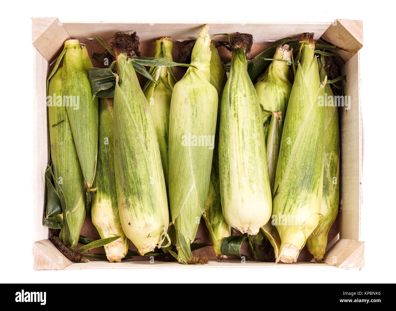 Corncob, ready for the farmers marked Stock Photo