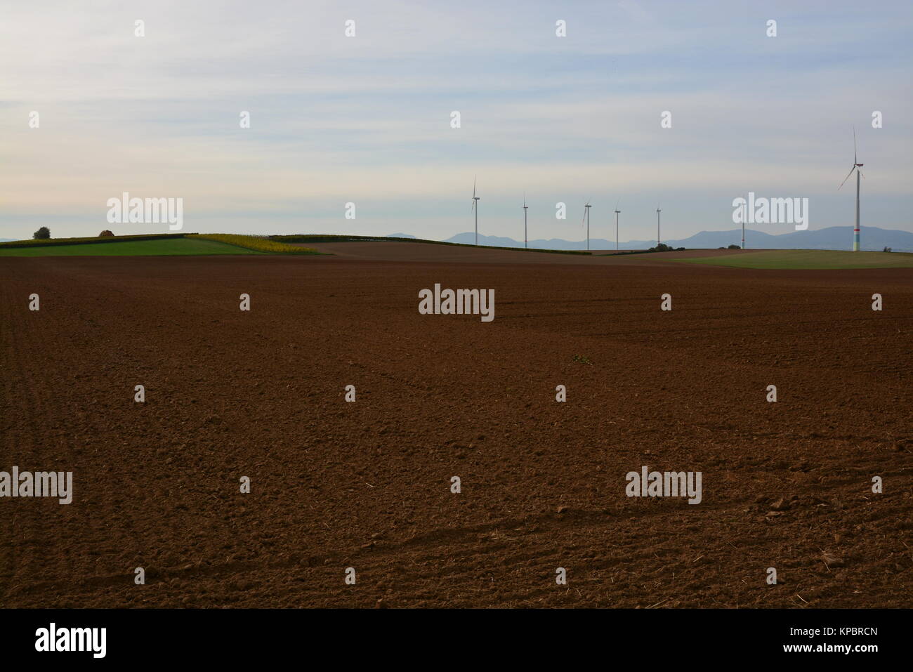 Agricultural landscape in Herxheim in the Palatinate Stock Photo