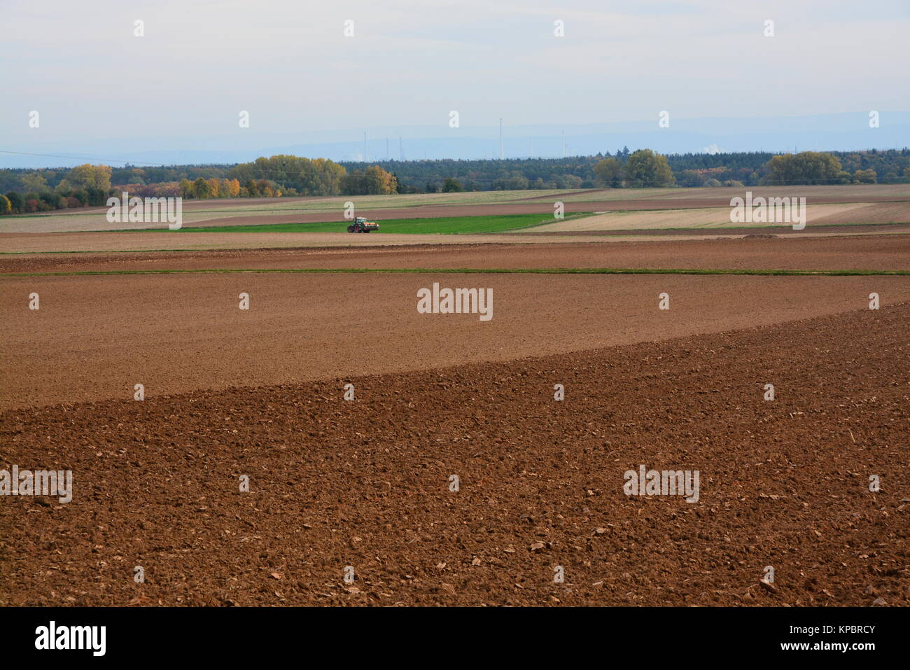 fields in autumn near herxheim in the palatinate Stock Photo