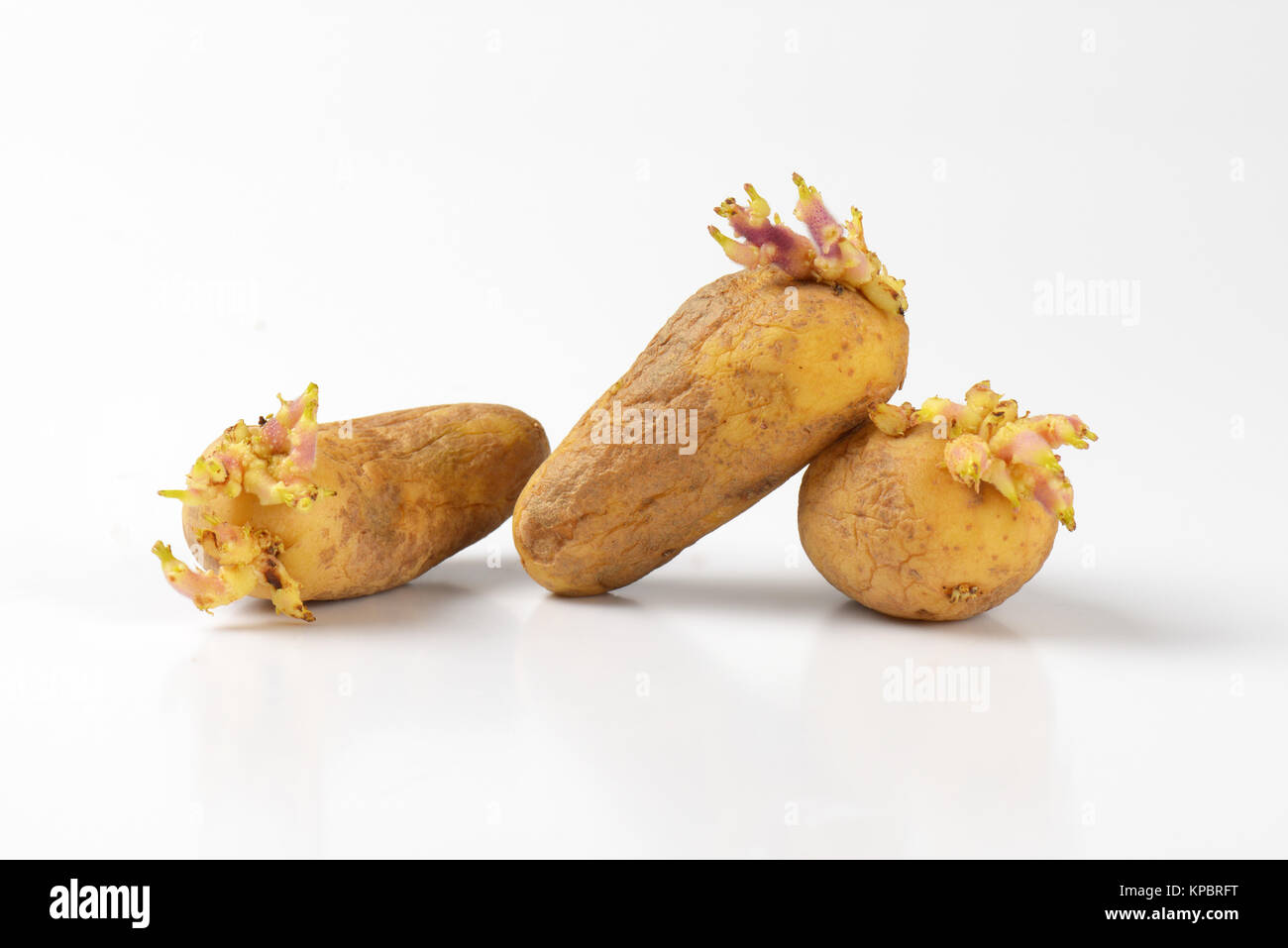 potatoes growing sprouts Stock Photo Alamy