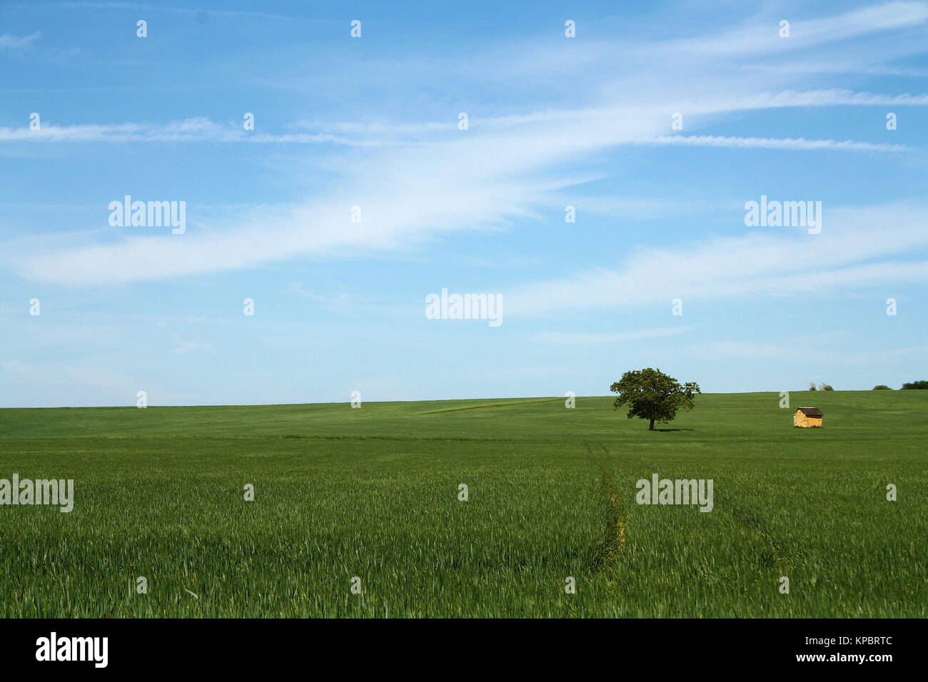 TREE AND FIELD FRENCH LANDSCAPE Stock Photo Alamy