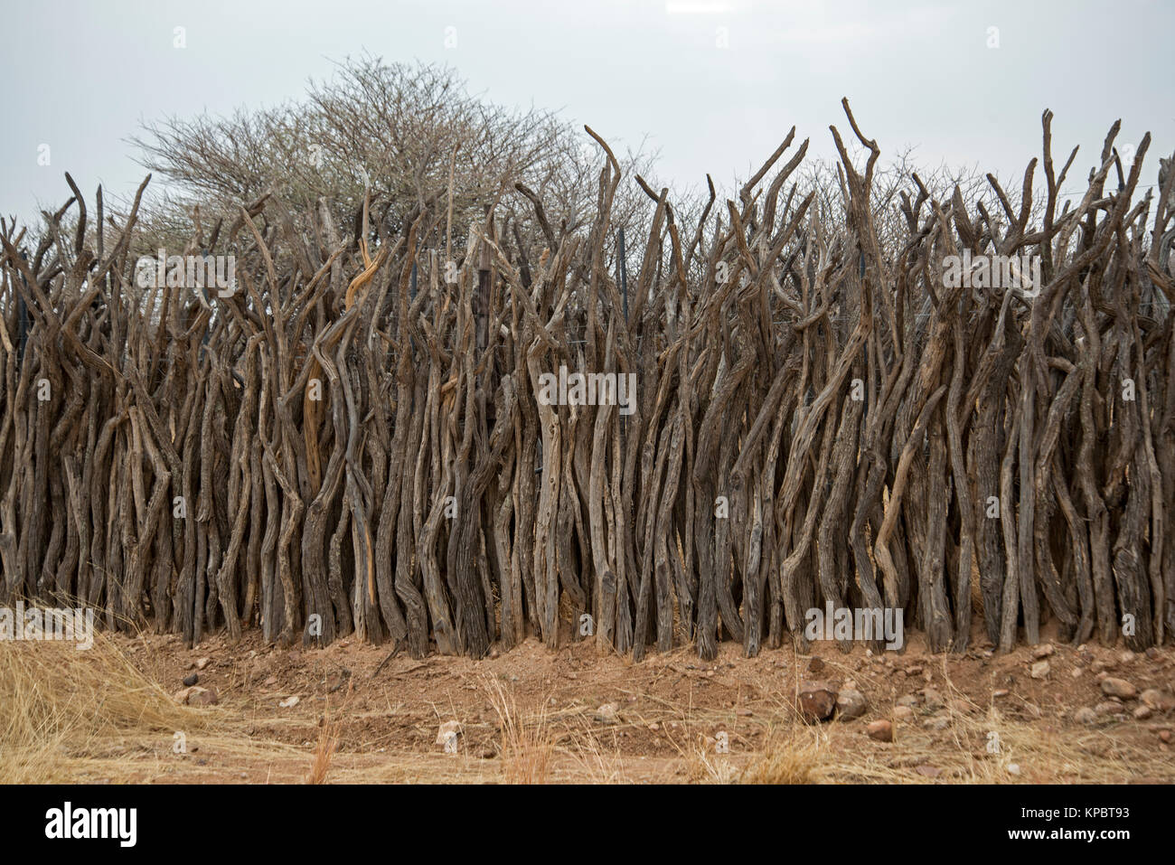 Stock Proof Barrier, Namibia Stock Photo