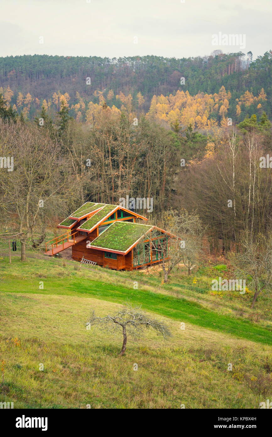 Wooden house with extensive green living roof covered with vegetation Stock Photo