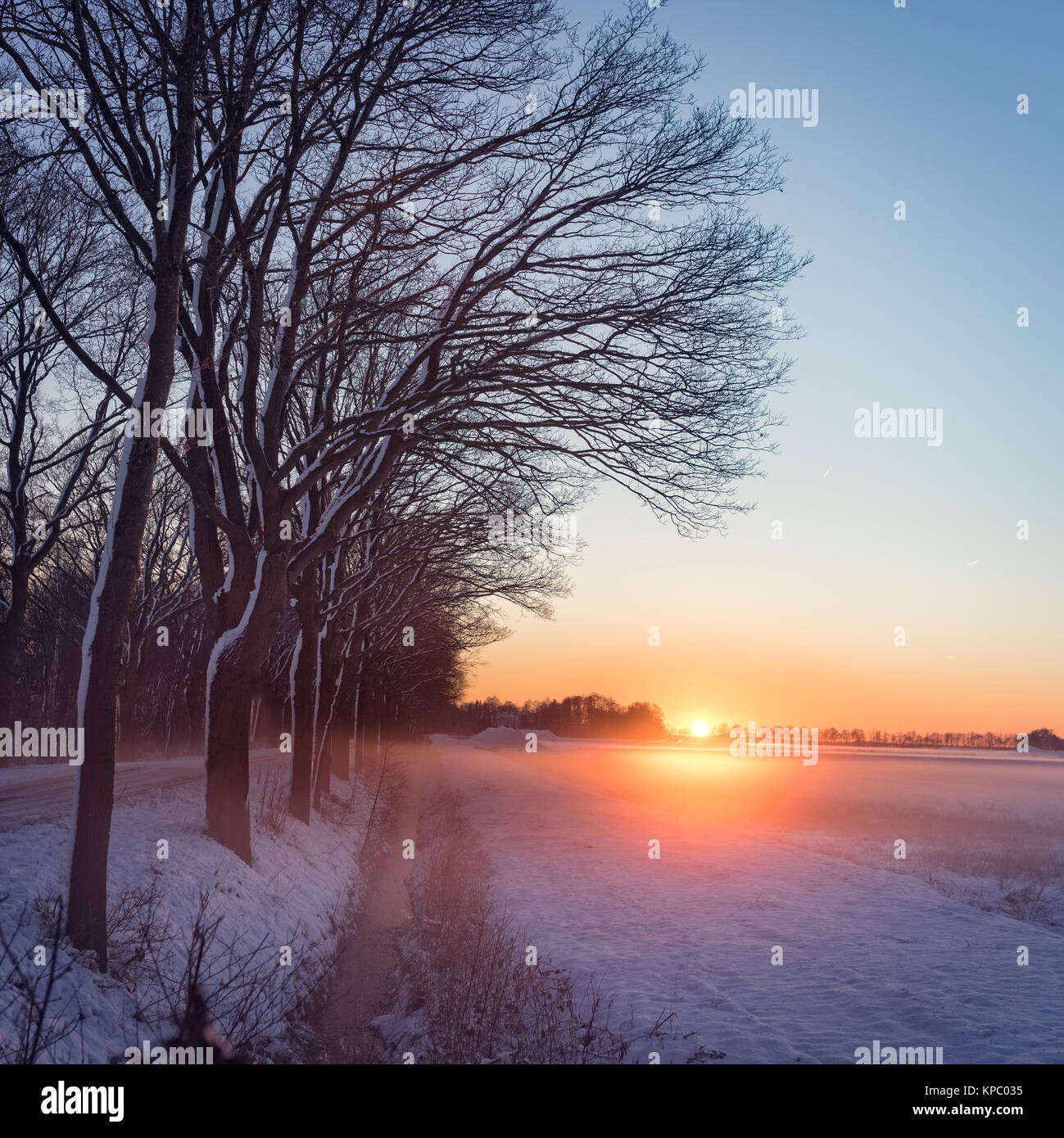 winter landscape with color look Stock Photo - Alamy