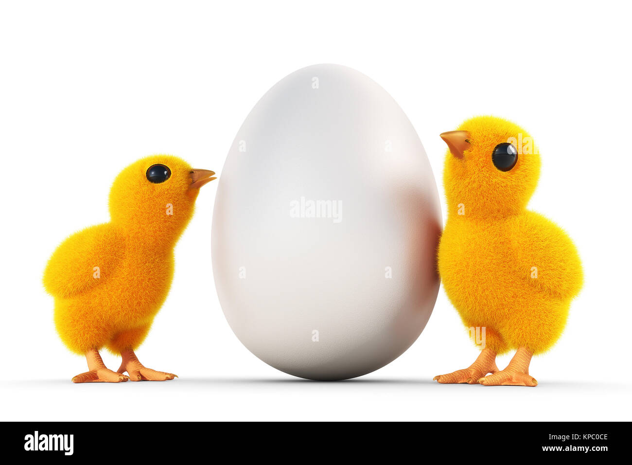 two chicks with white egg Stock Photo Alamy