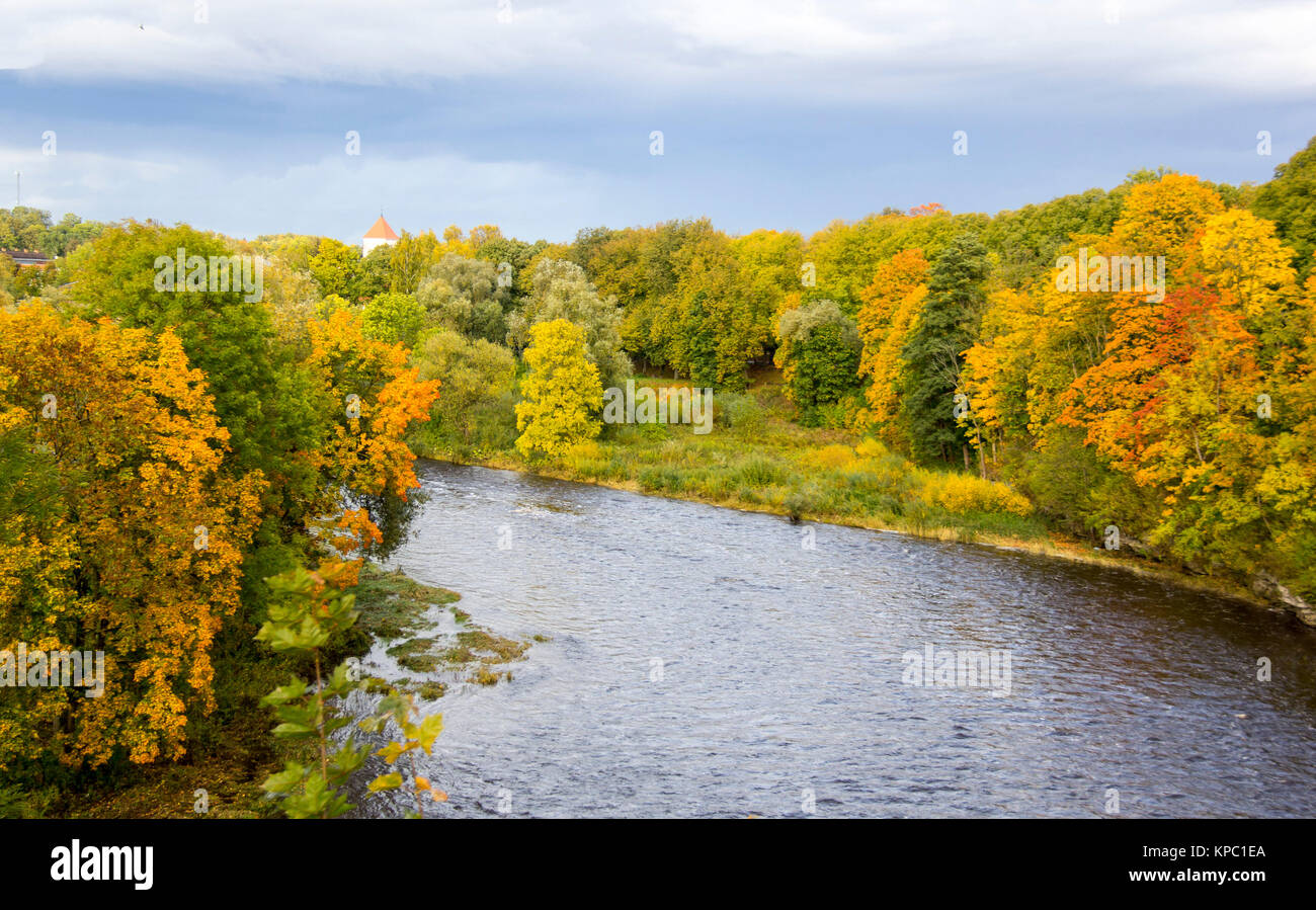 autumn background with colored leaves of the tree and river in ...