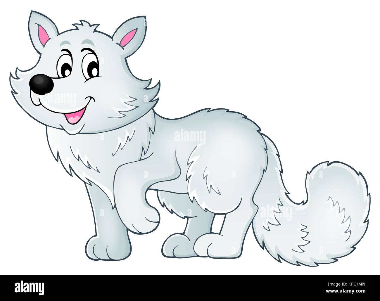 Arctic Fox Cut Out Stock Images & Pictures - Alamy