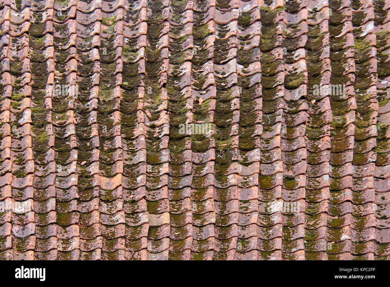old grunge mossy Tile roof texture Stock Photo