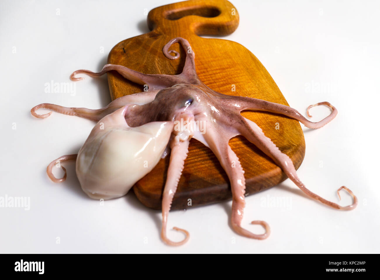 Octopus on isolated white background Stock Photo - Alamy