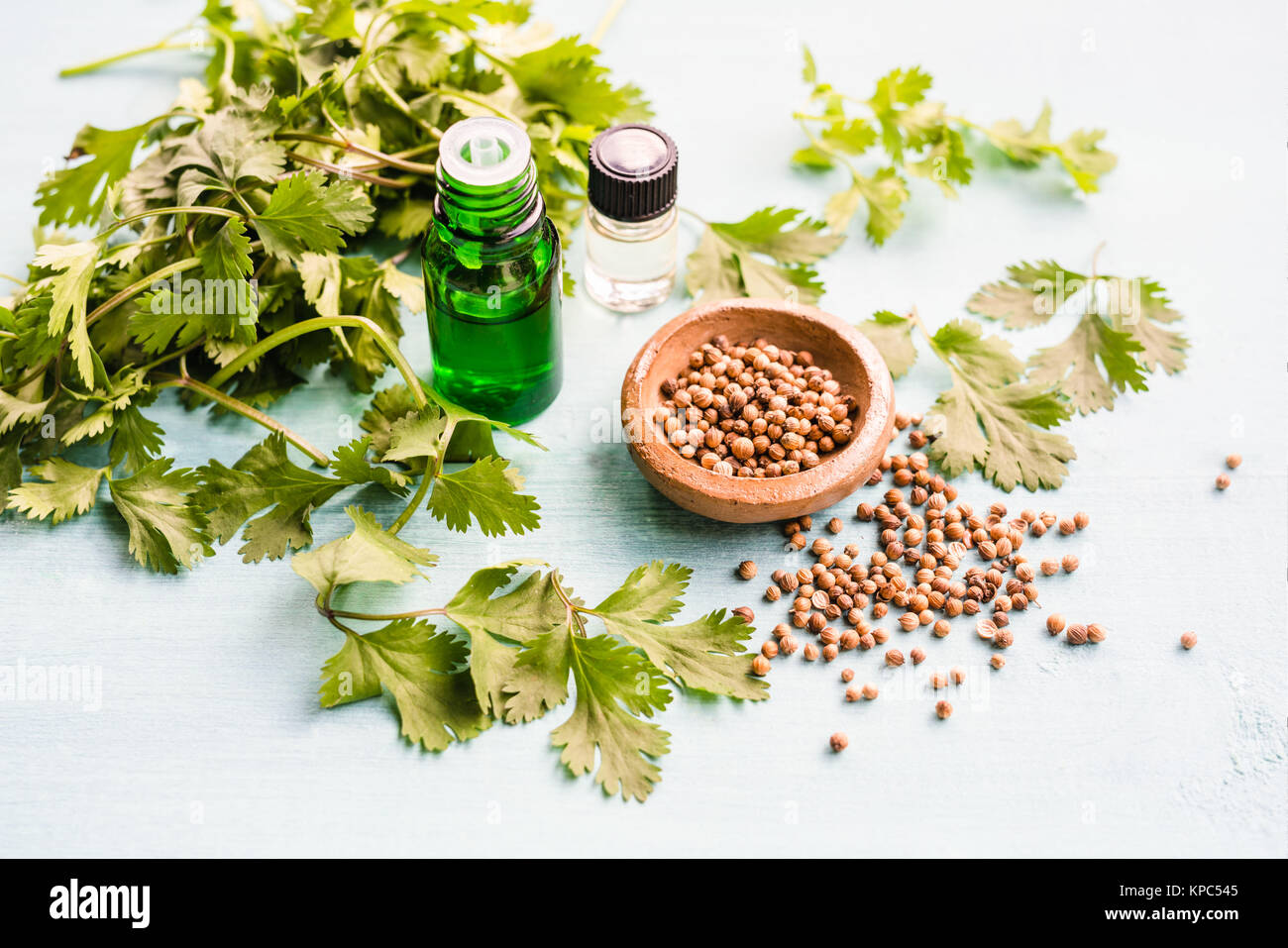 Coriander essential oil Stock Photo Alamy