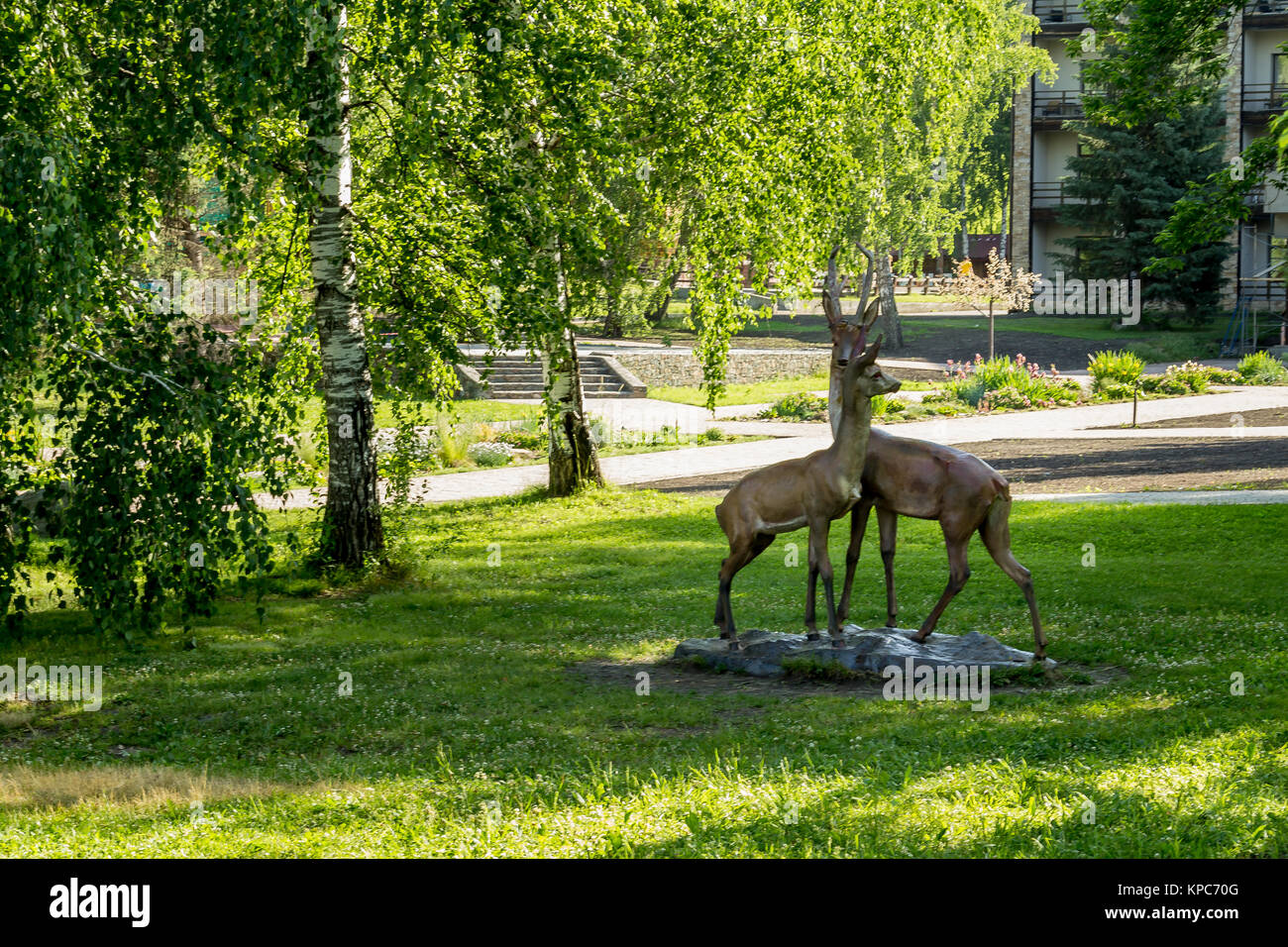 Altai Maral High Resolution Stock Photography and Images - Alamy