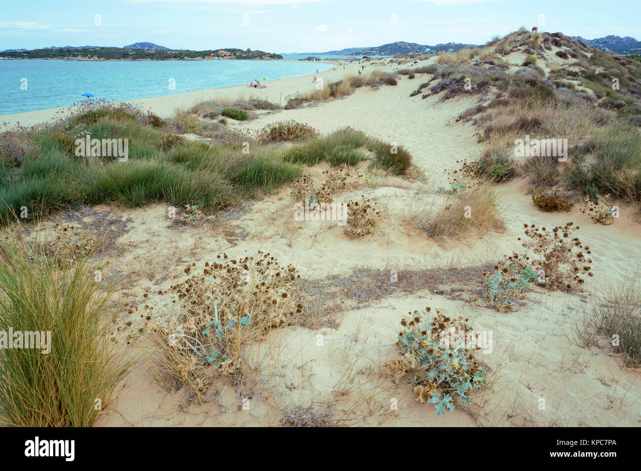 Sand dunes at the beach Spiaggia del Liscia, Porto Pollo, Sardinia, Italy, Mediterranean  sea, Europe Stock Photo
