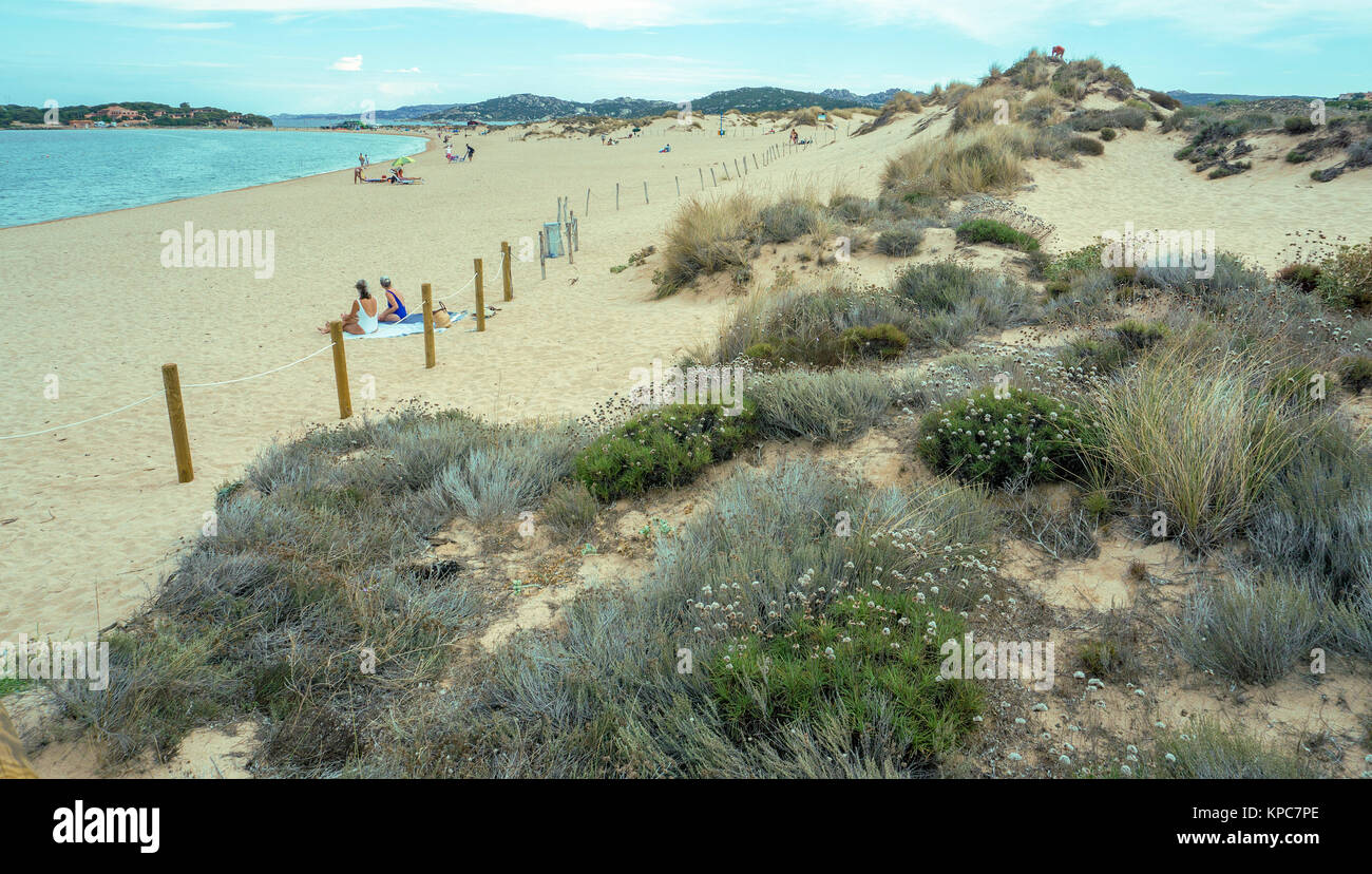 Sand dunes at the beach Spiaggia del Liscia, Porto Pollo, Sardinia, Italy, Mediterranean  sea, Europe Stock Photo