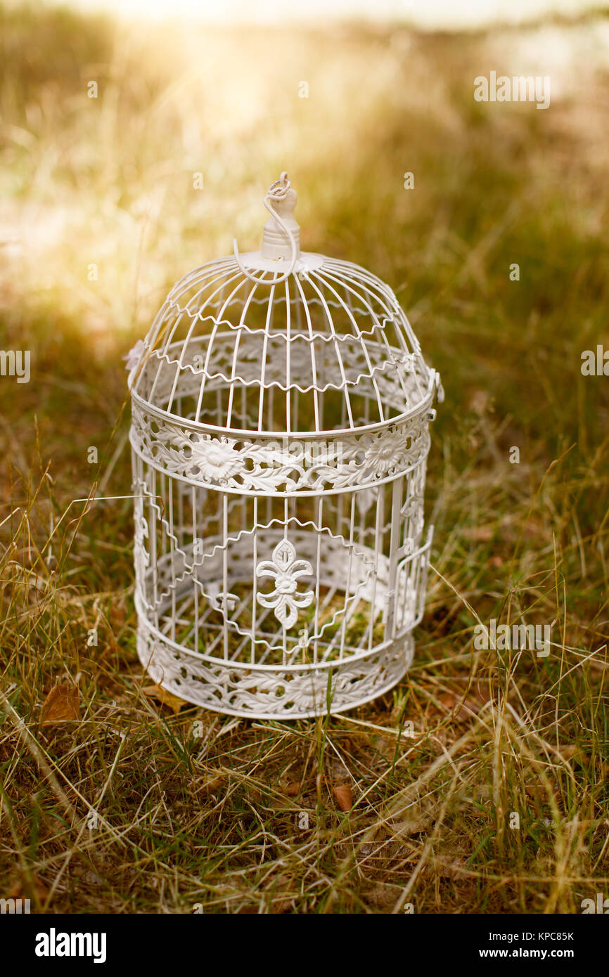 Illustration of Bird Cage Exterior Decorative Features