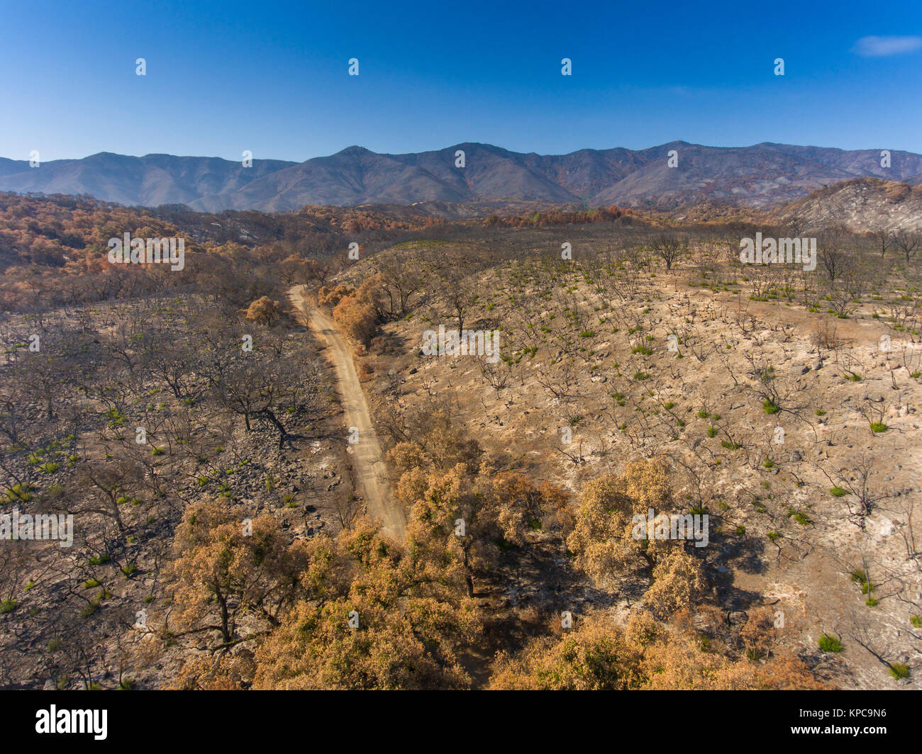 aerial of the aftermath of the Whittier Fire near Lake Cachuma in the Santa Ynez Valley, California Stock Photo