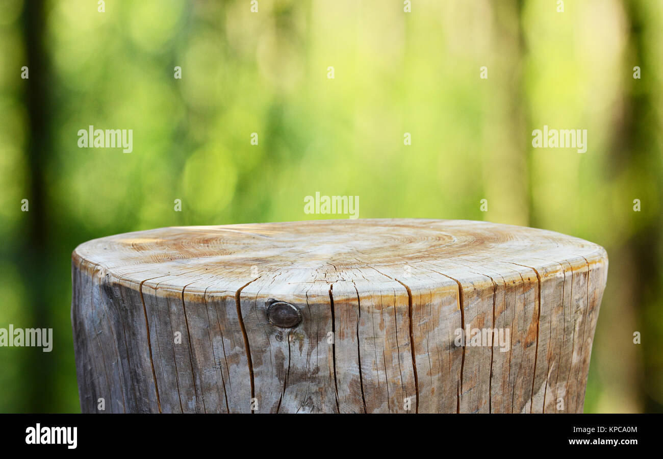 Empty tree trunk for display montags Stock Photo - Alamy