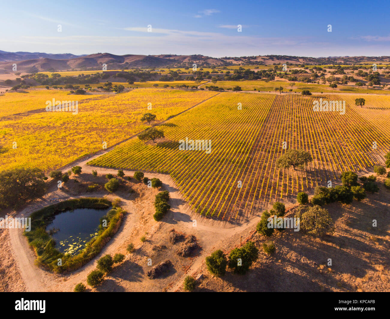 Firestone winery hi-res stock photography and images - Alamy