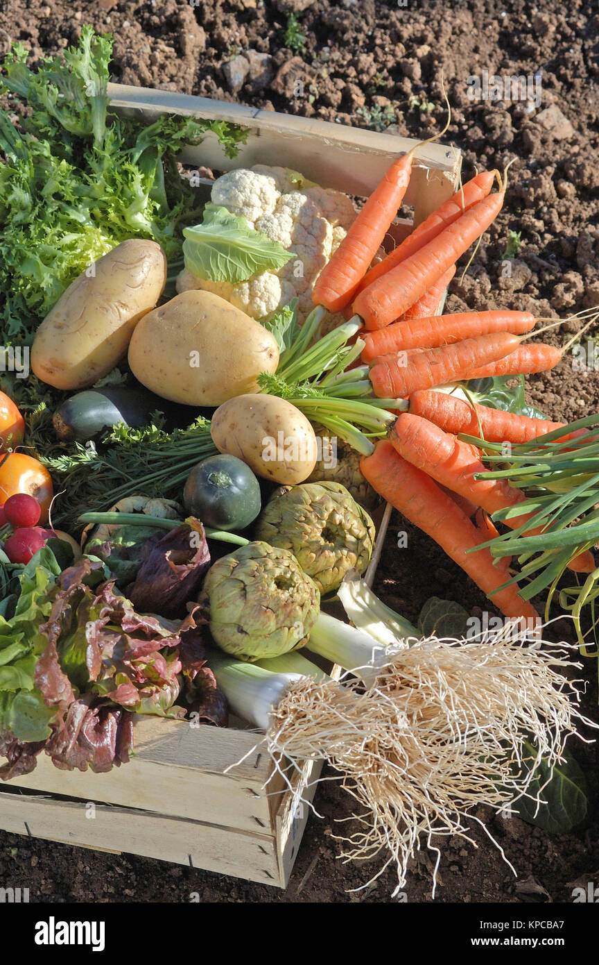 Blue box vegetables fruit hi-res stock photography and images - Alamy