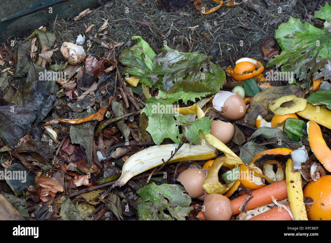 inside of a composting container Stock Photo Alamy