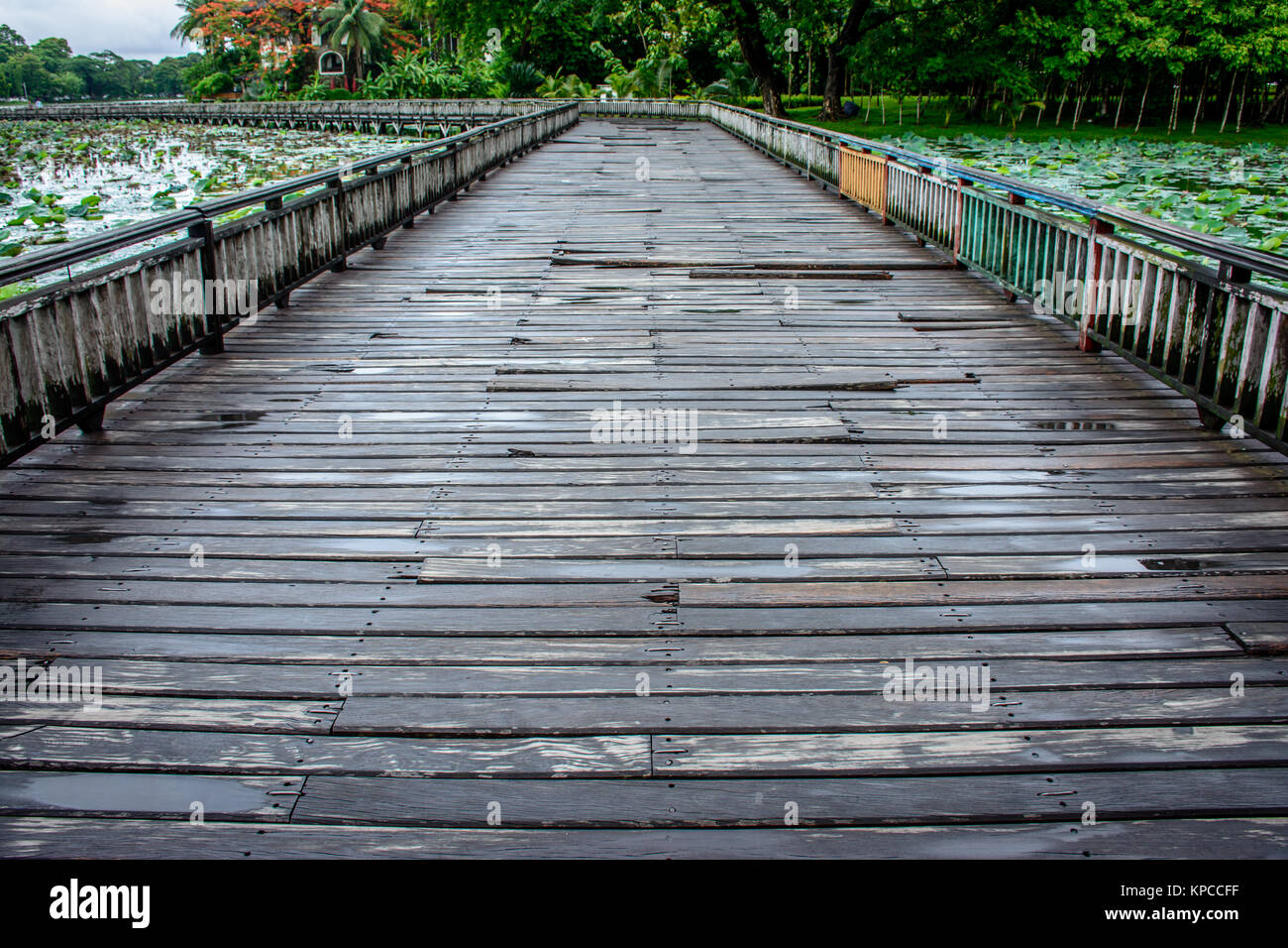 landscape photo of wooden bridge in the lake Stock Photo