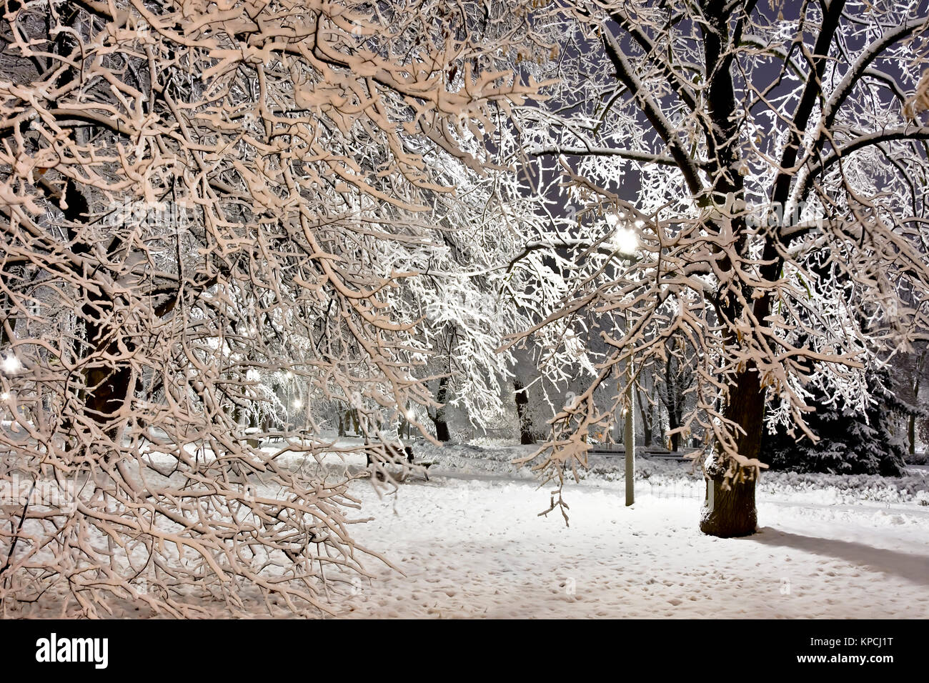 A snow-covered city park at night. Winter. City at night Stock Photo ...