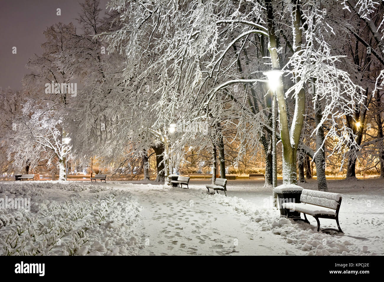 A snow-covered city park at night. Winter. City at night Stock Photo ...