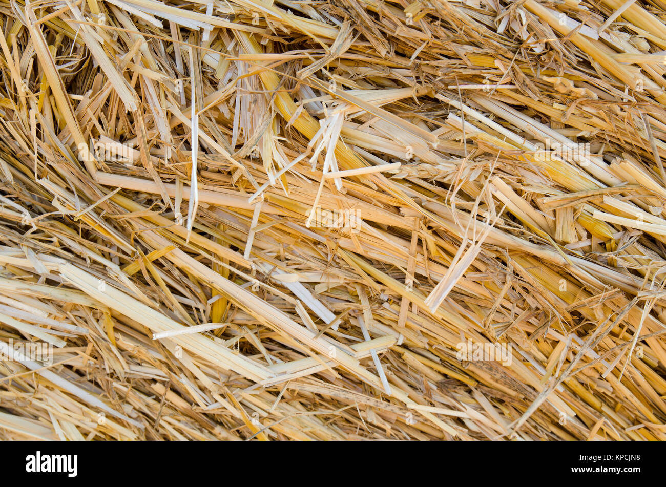 Close up of straw texture Stock Photo Alamy