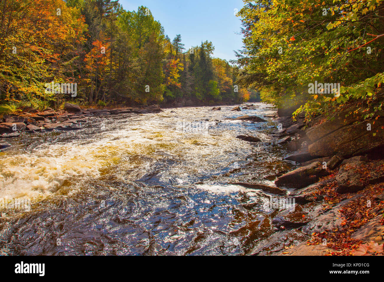 Oxtongue River in autumn in Algonquin Park,Ontario,Canada Stock Photo ...