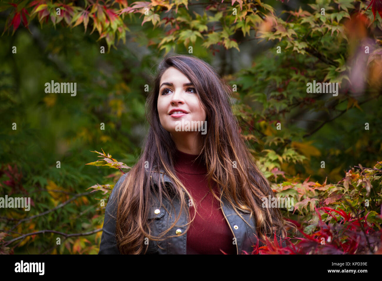 pretty, young long lady in her 20s, with long brown hair, enjoying autumn in the woodlands, Gloucestershire, Cotswolds, England, United Kingdom Stock Photo