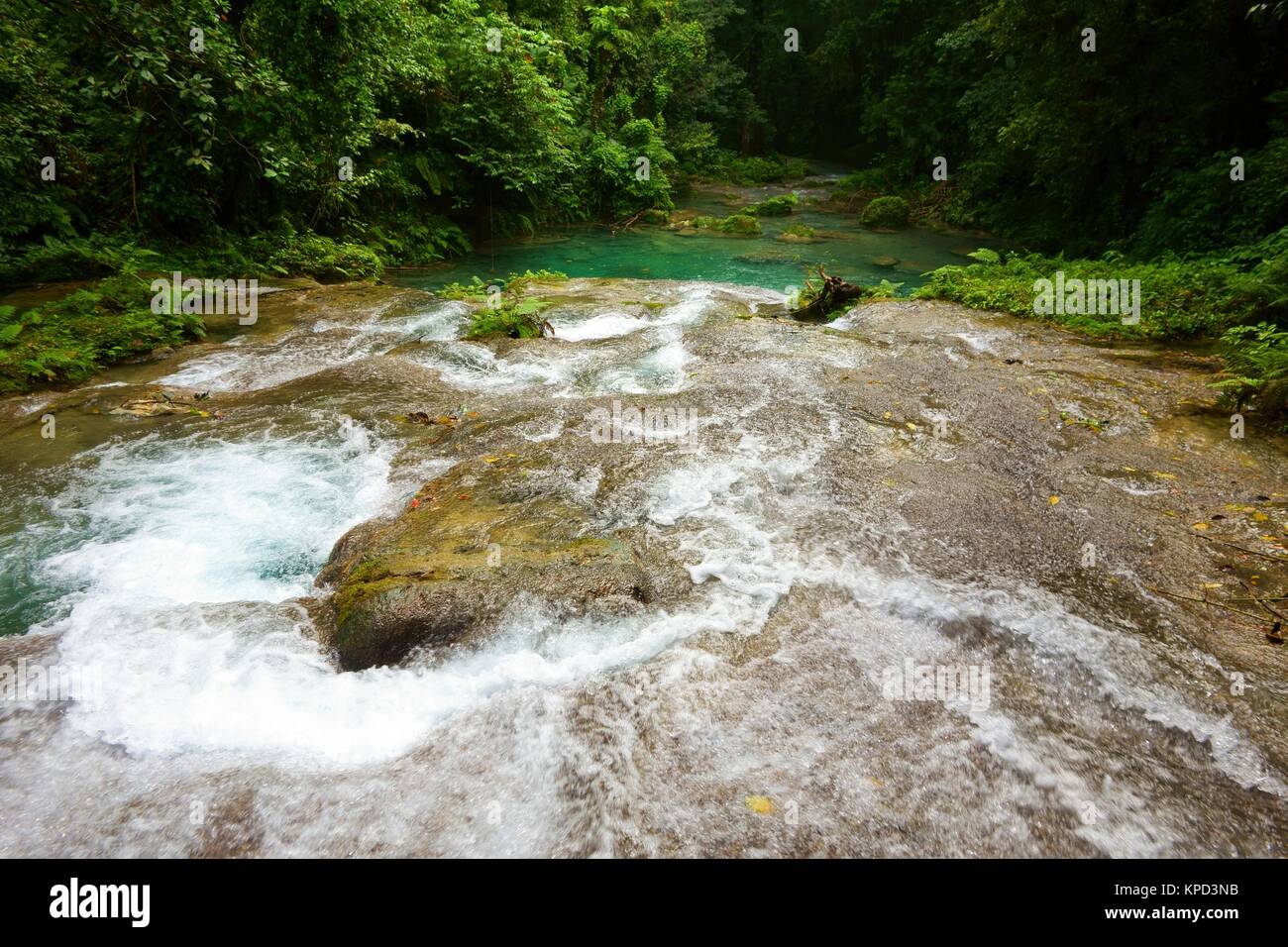 Reach Falls and lush rain forest in Portland parish, Jamaica Stock Photo