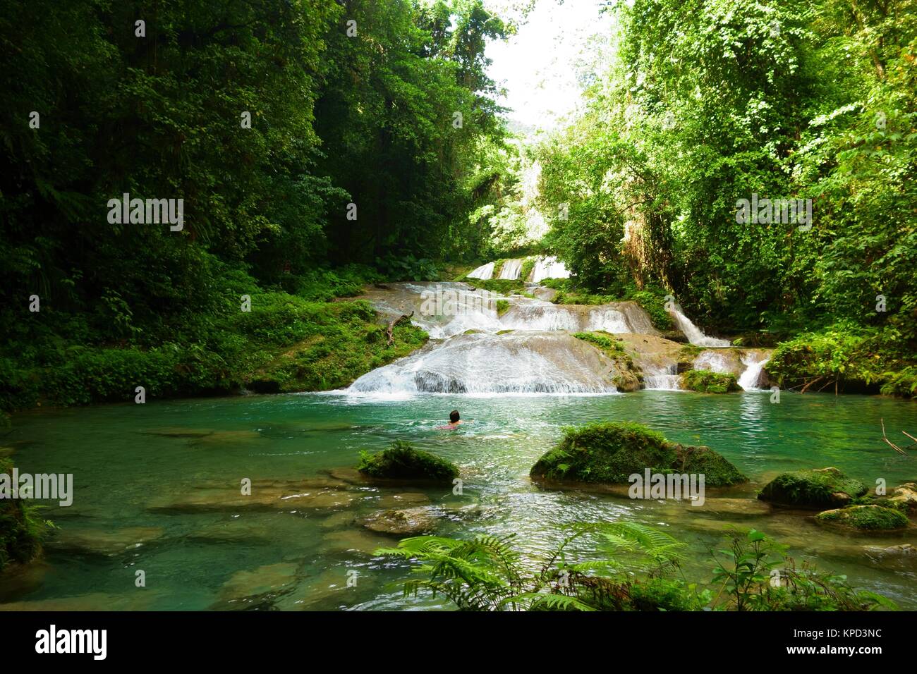 Unidentified female tourist swimming in the Reach Falls in Portland parish, Jamaica Stock Photo