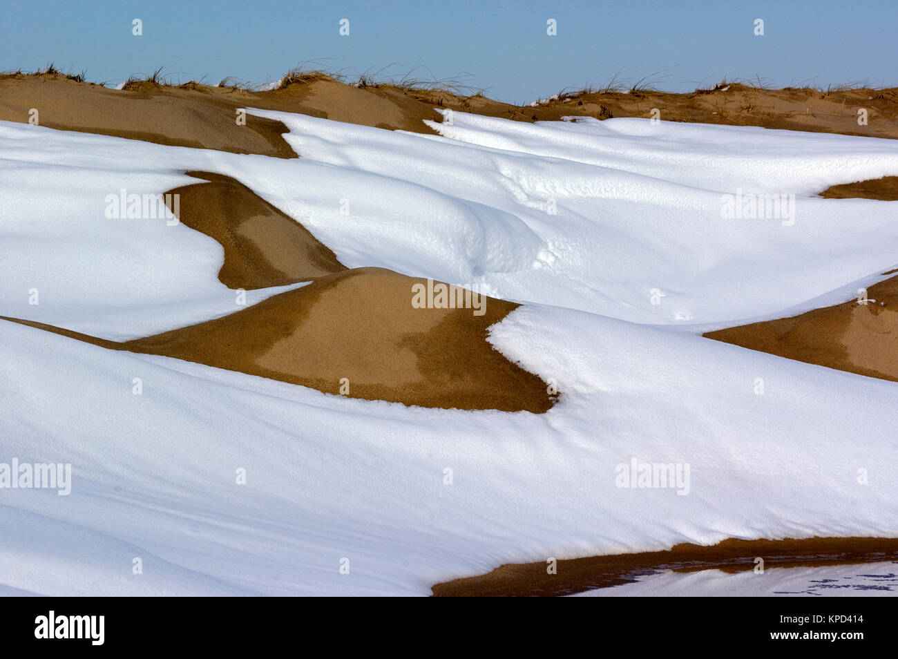 Snow capped sand dunes and fence in Provincetown, Massachusetts on Cape Cod, Cape Cod National Seashore, USA Stock Photo