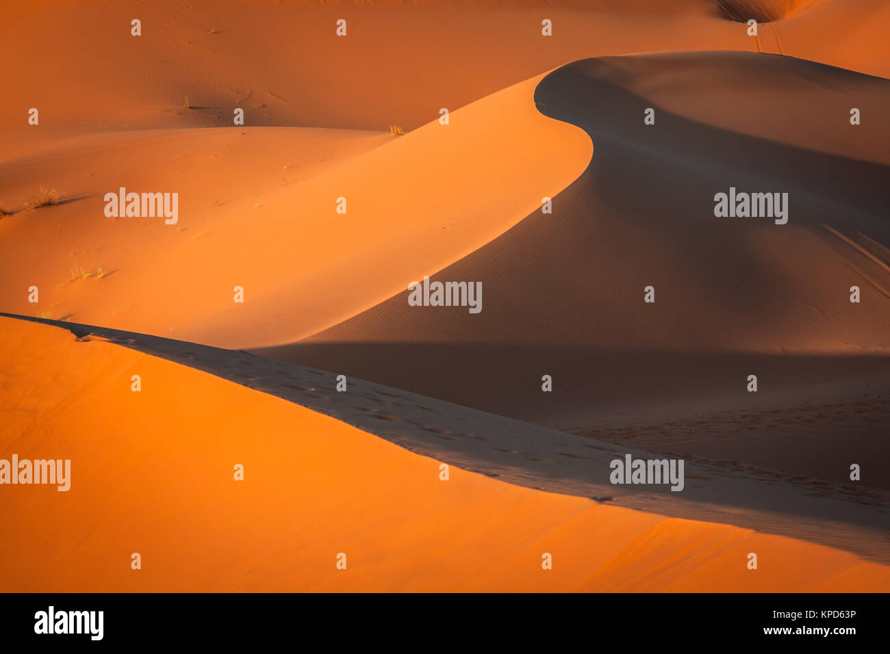 sand dunes of erg chebbi int sahara desert,morocco Stock Photo - Alamy