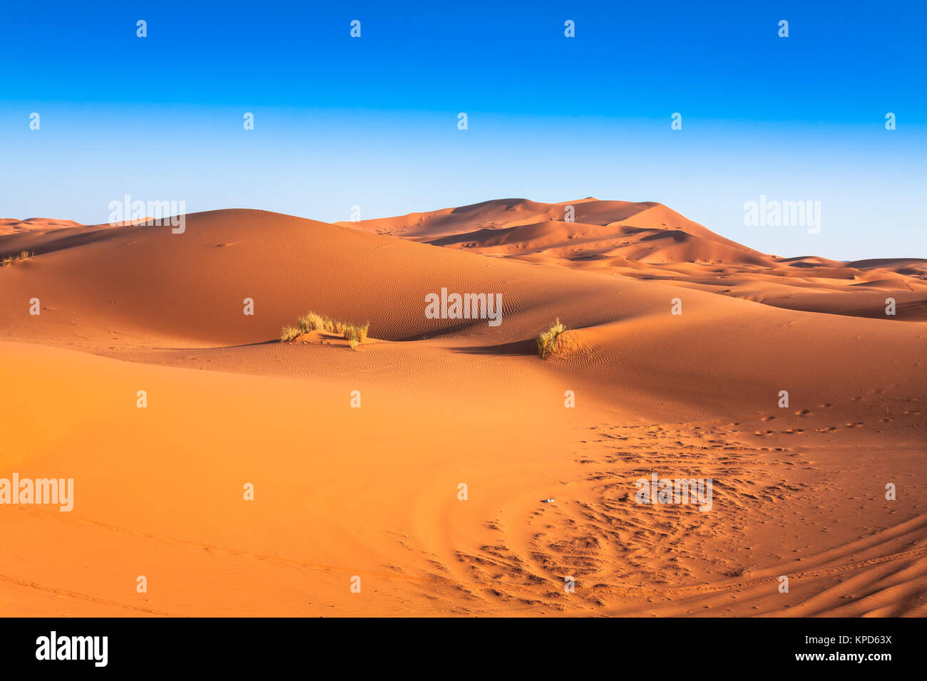 sand dunes of erg chebbi int sahara desert,morocco Stock Photo - Alamy