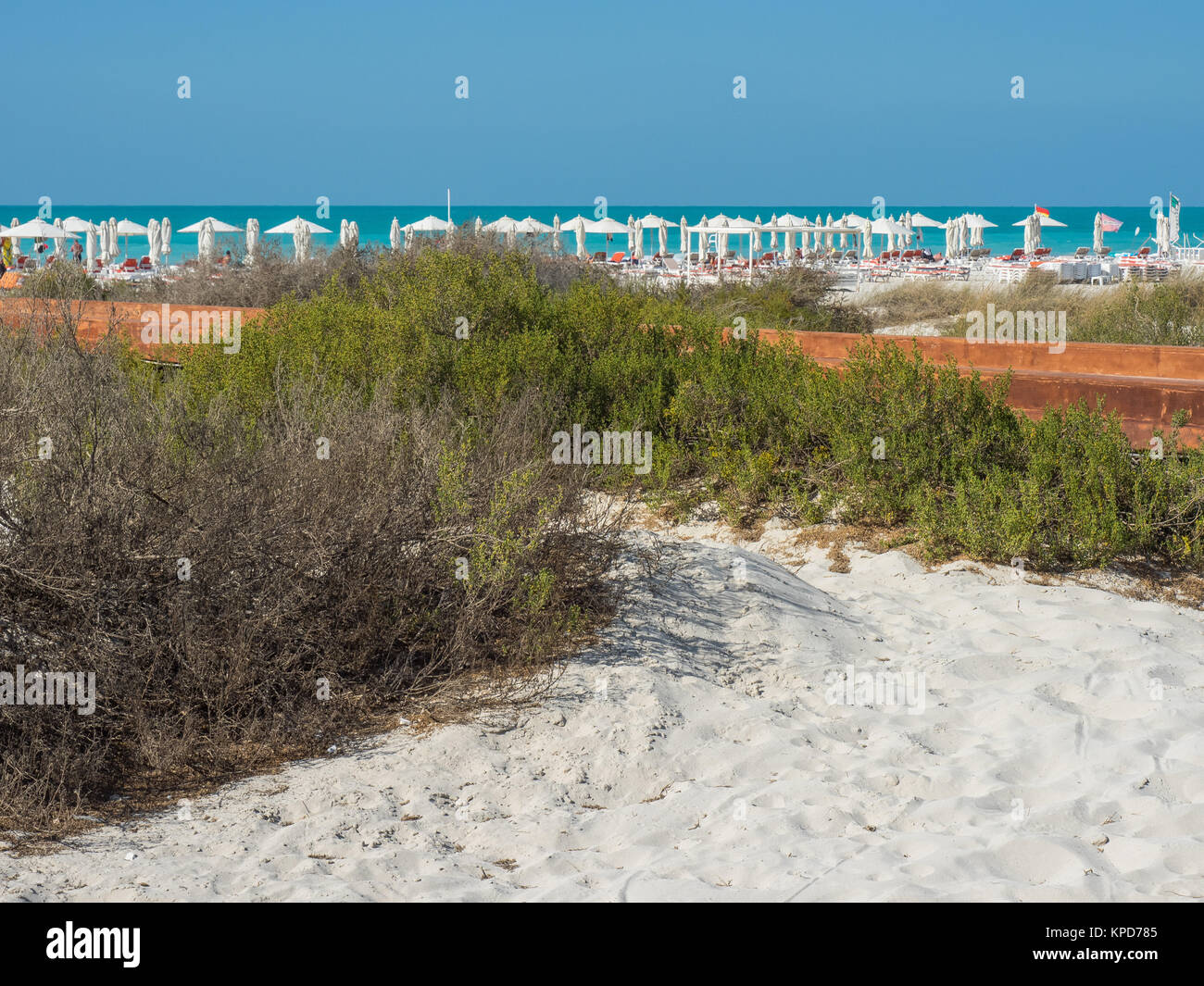 beach of abu dhabi Stock Photo