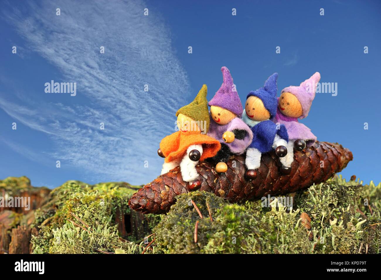 Four gnomes ride on a spruce cone Stock Photo