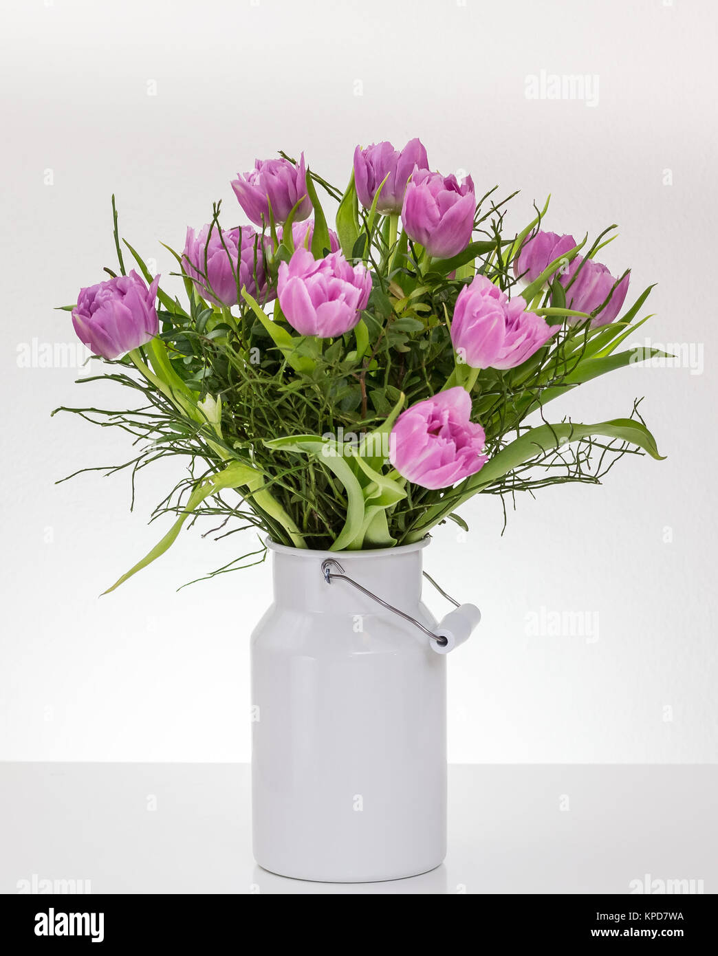 Pink,purple tulips in a white milk jug against a white background Stock Photo