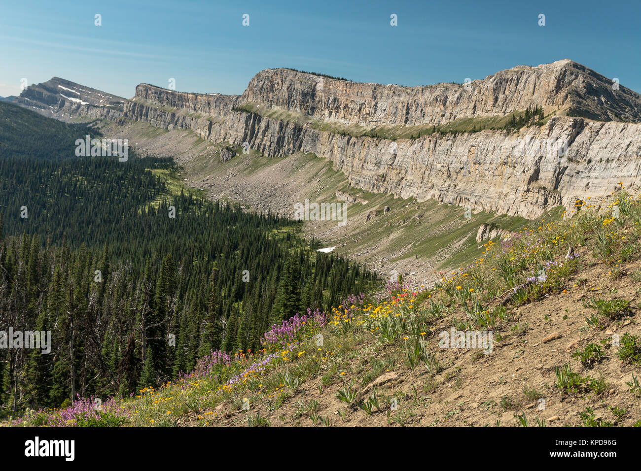 The Chinese Wall from Larch Hil Pass in the Bob Marshall Wilderness, Montana Stock Photo