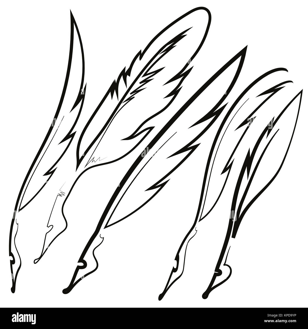 Set of Different Feathers Stock Photo - Alamy