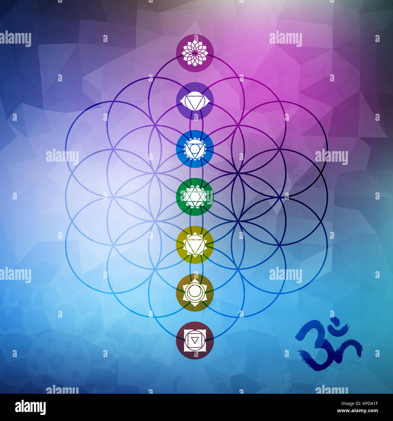 Chakra Legging With Sacred Geometry (Flower of Life) - Third Eye Threads