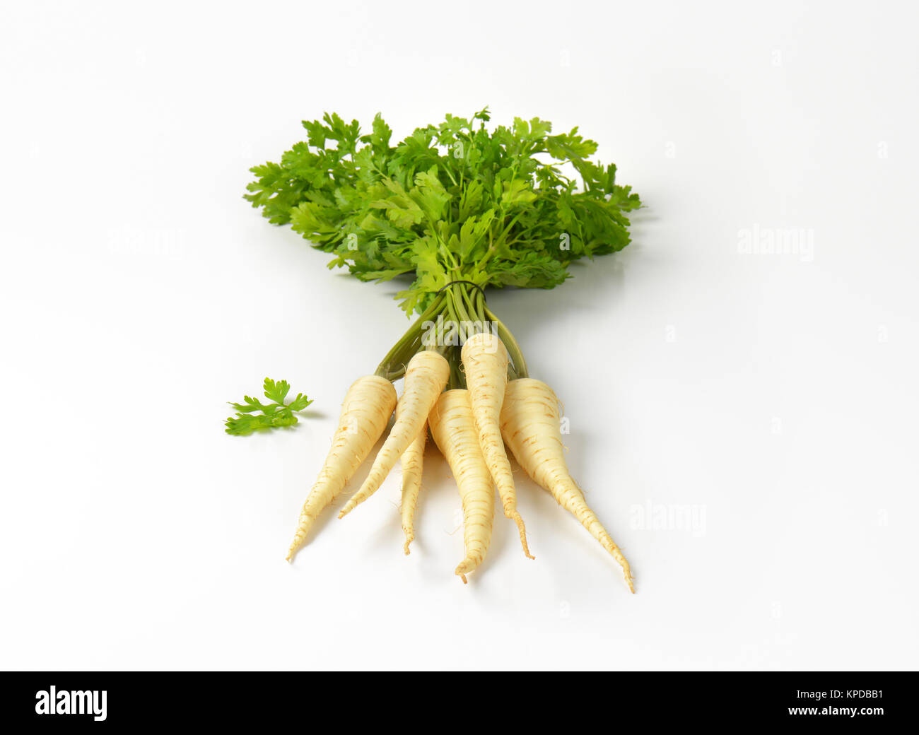 fresh parsley roots Stock Photo Alamy