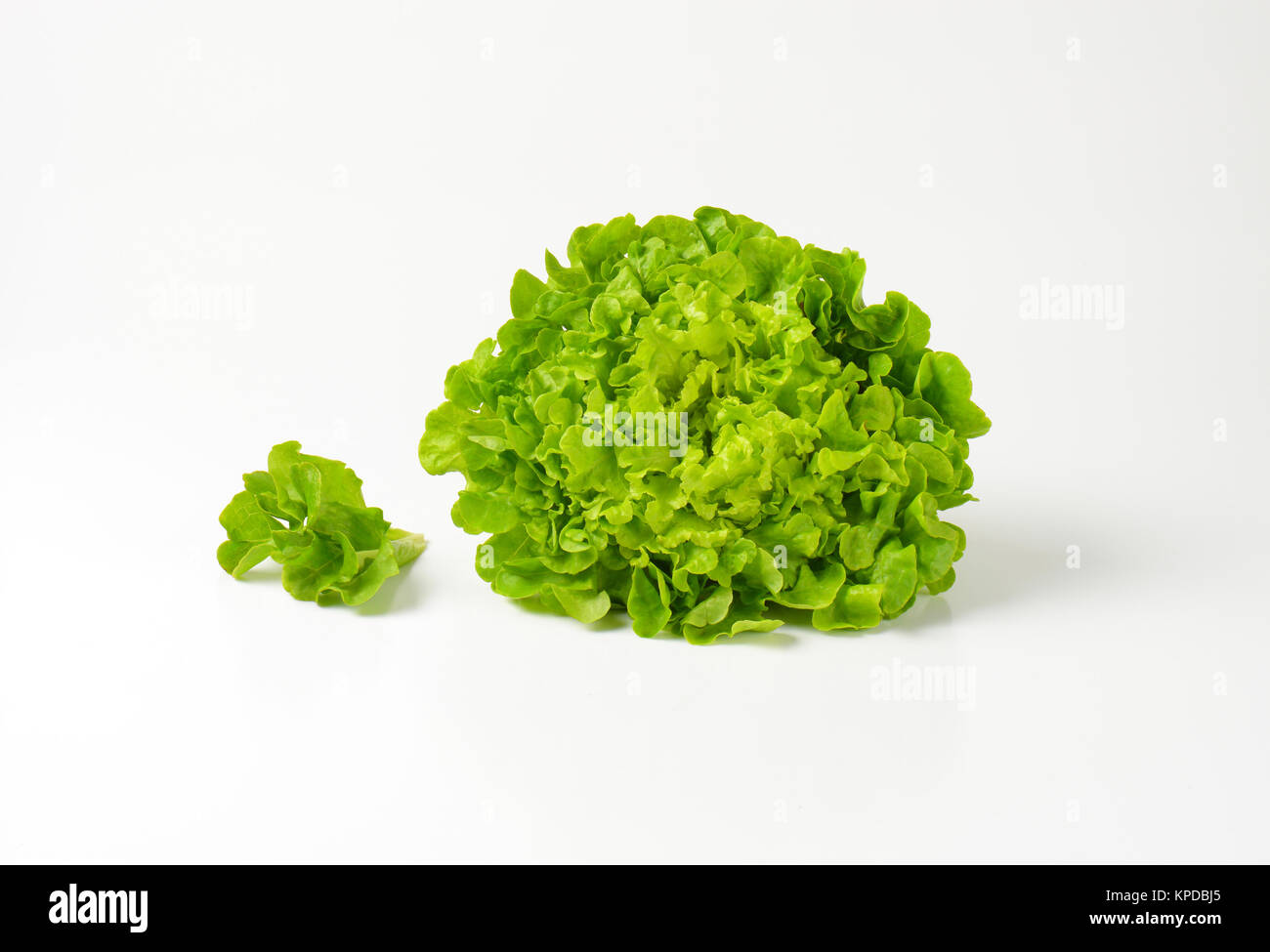 fresh Butterhead lettuce Stock Photo Alamy