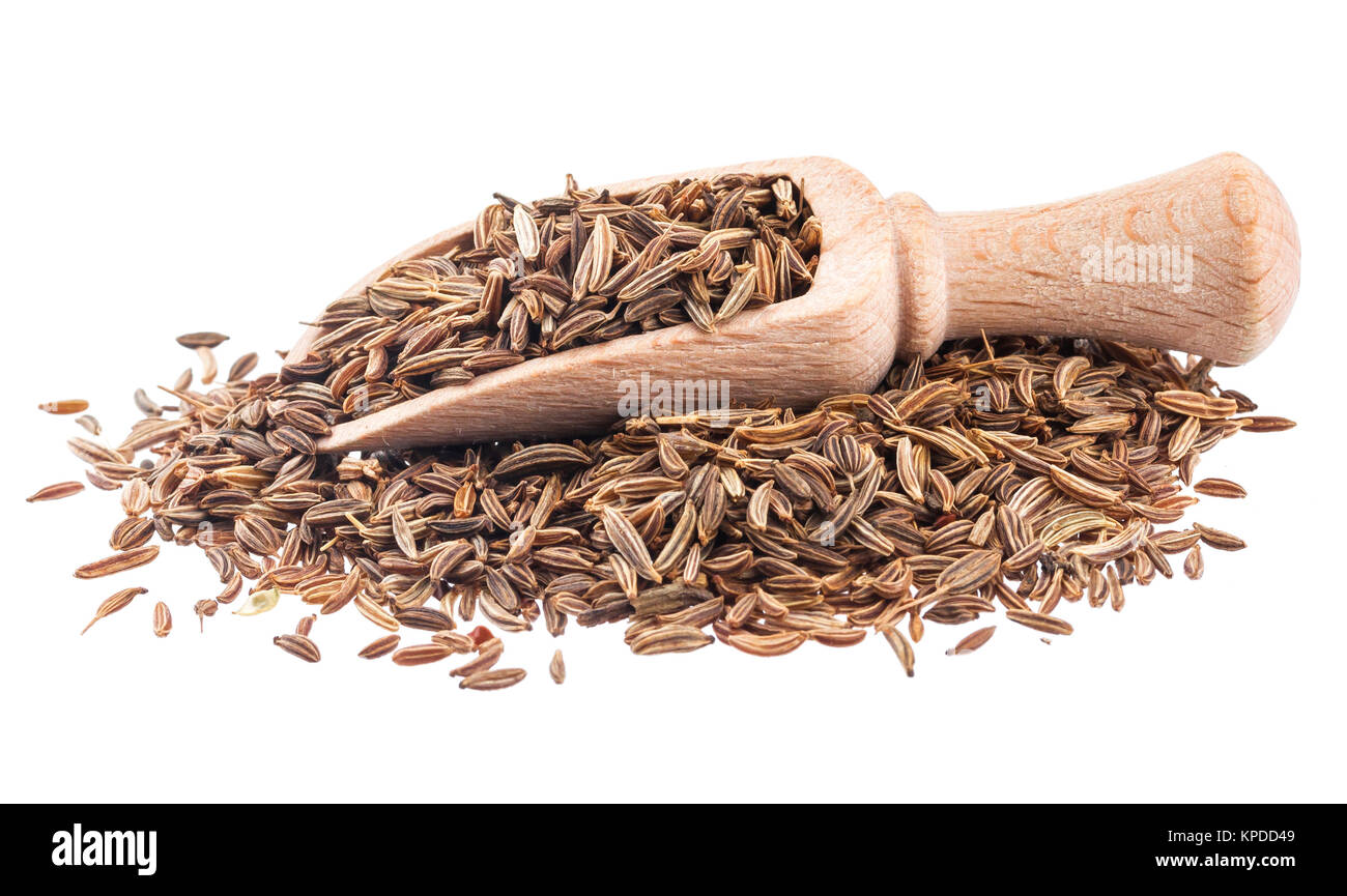 Cumin or caraway seeds in scoop isolated on white background. Collection Stock Photo