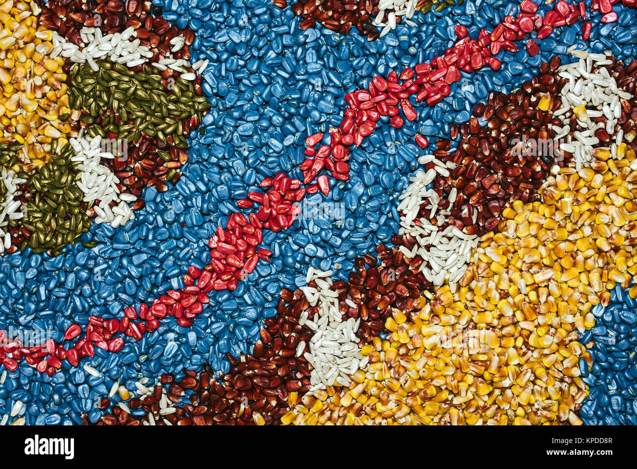 Multi-colored background of corn maize seed, agriculture and farming Stock Photo
