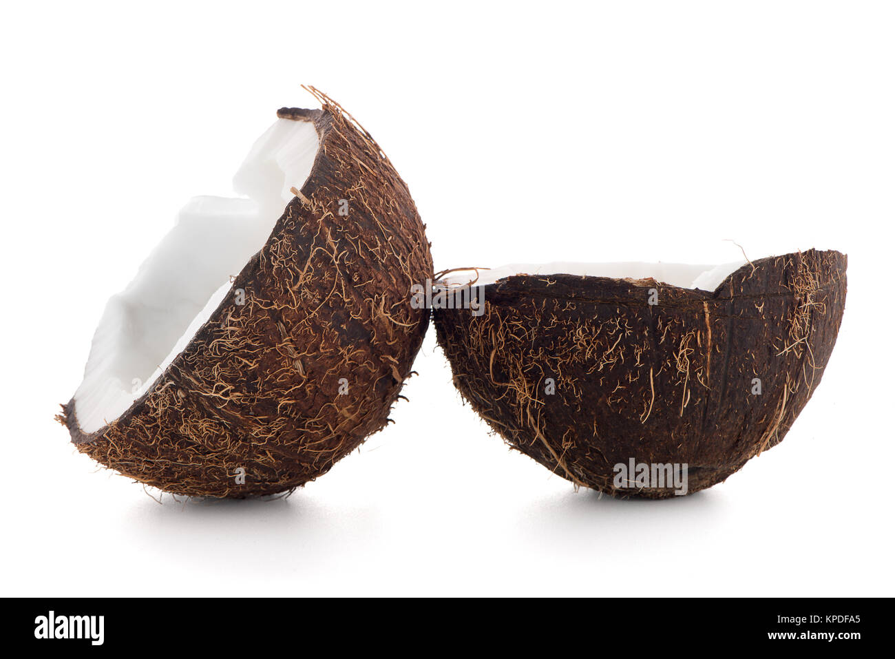 Coconut Stock Photo