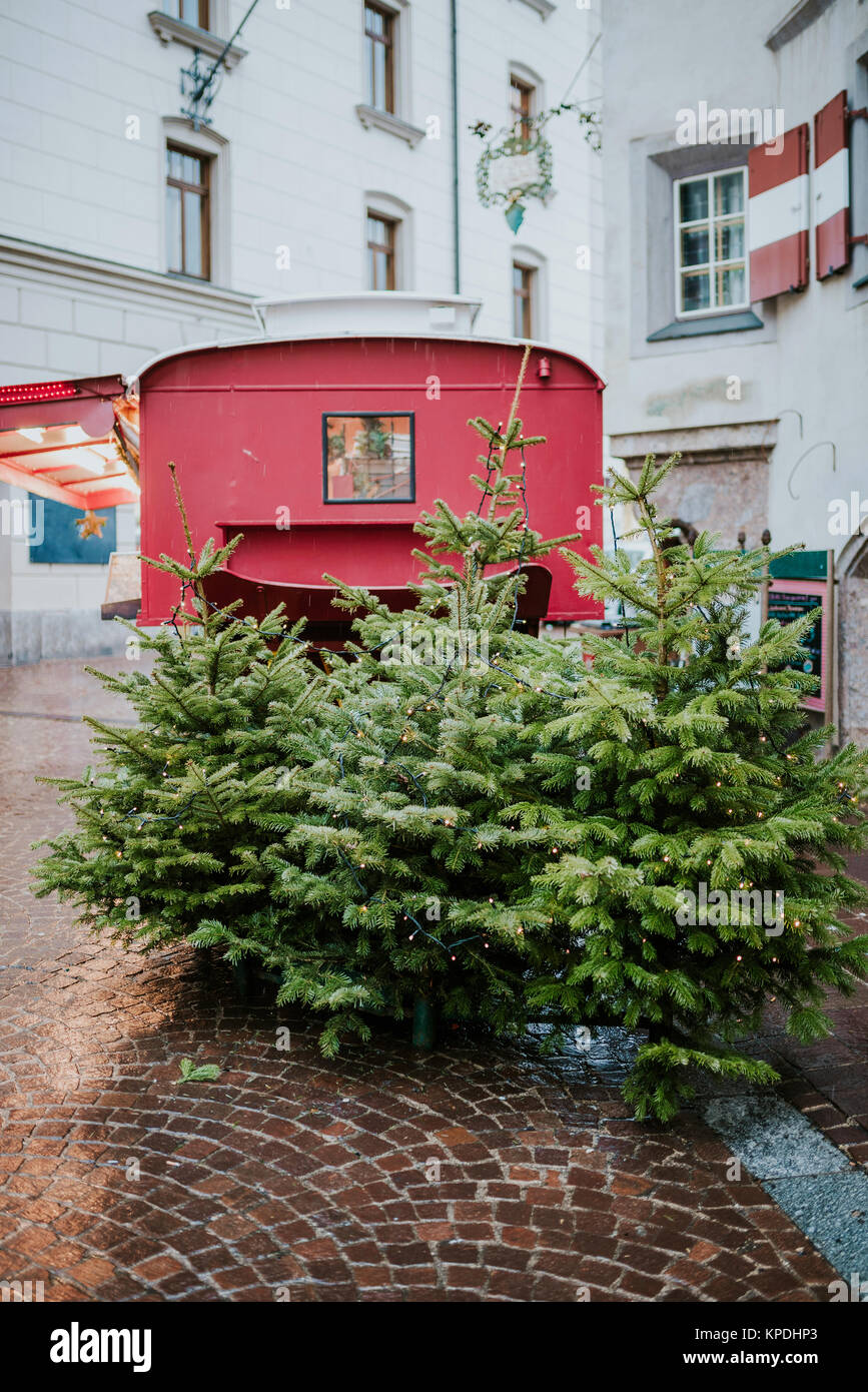 Decorated Christmas trees on the street Stock Photo Alamy