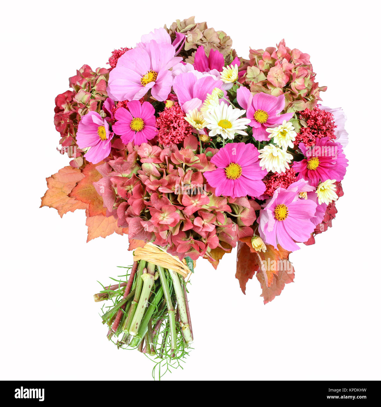 Congratulations flowers Cut Out Stock Images & Pictures - Alamy